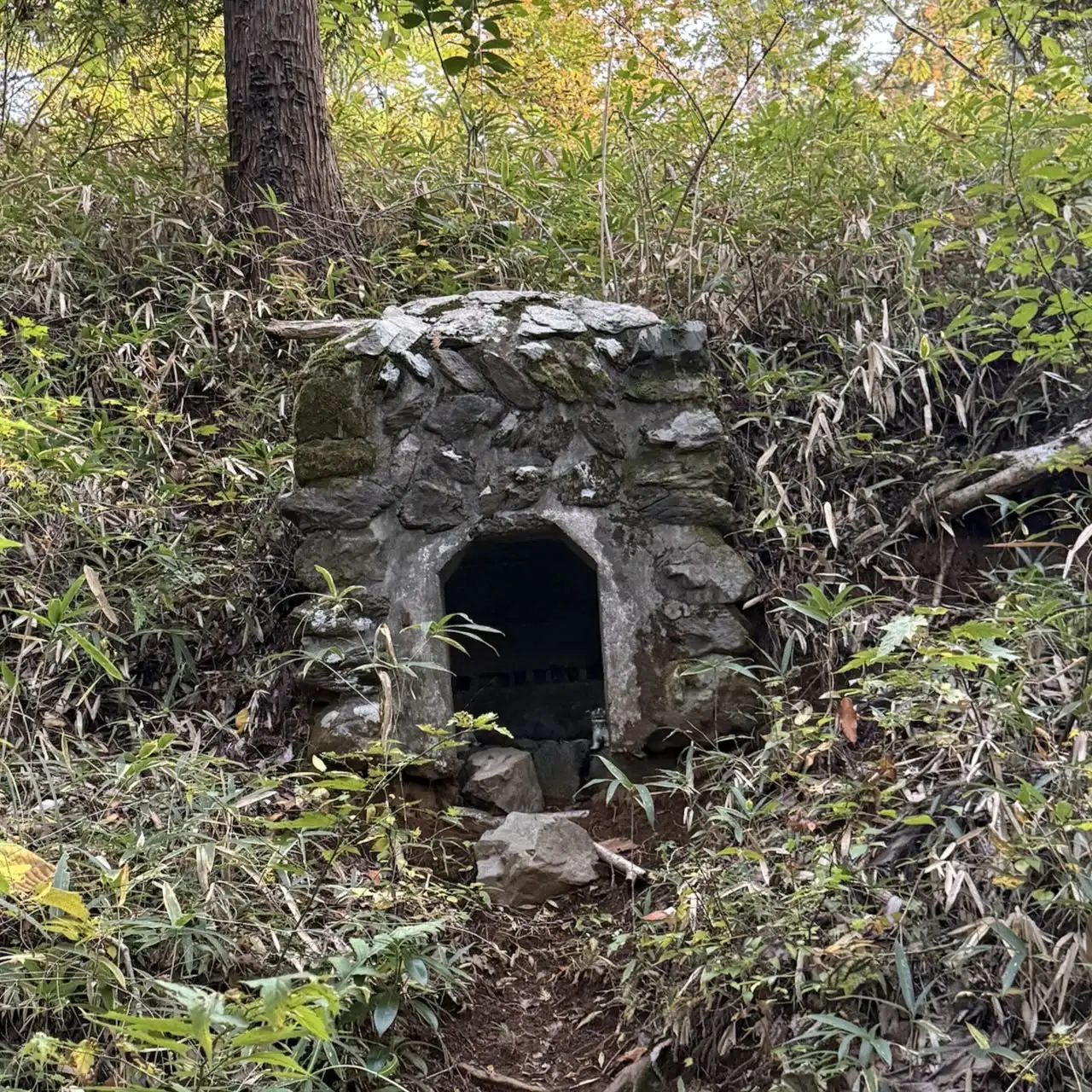 これは何ですか?